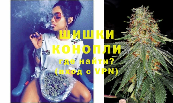 индика Беломорск