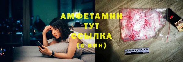индика Беломорск
