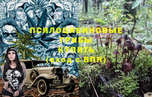 индика Беломорск