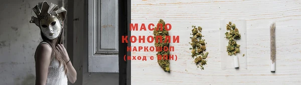 индика Беломорск