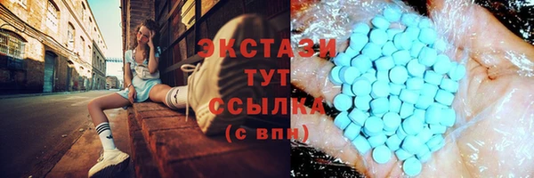 индика Беломорск