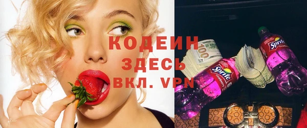 индика Беломорск
