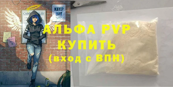 индика Беломорск
